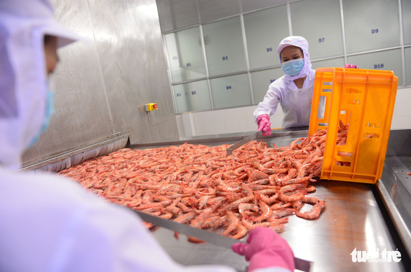 Conflit russo-ukrainien les entreprises vietnamiennes cherchent à ouvrir une nouvelle voie